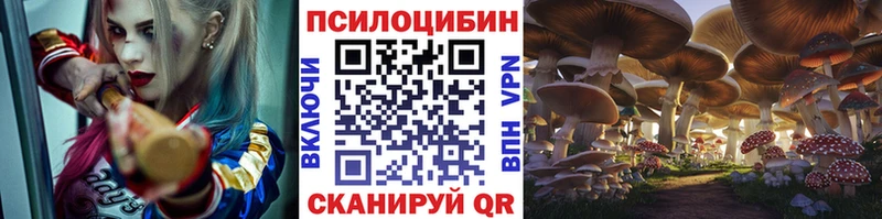 это официальный сайт Ершов hydra ССЫЛКА Псилоцибиновые грибы Psilocybe наркота